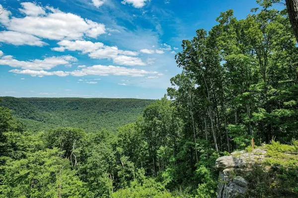 Jasper, TN 37347,0 High Point LN