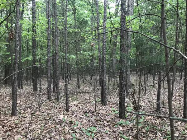 Dunlap, TN 37327,0 Bluffview DR