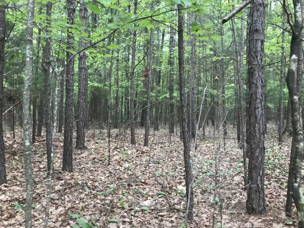 Dunlap, TN 37327,0 Bluffview DR