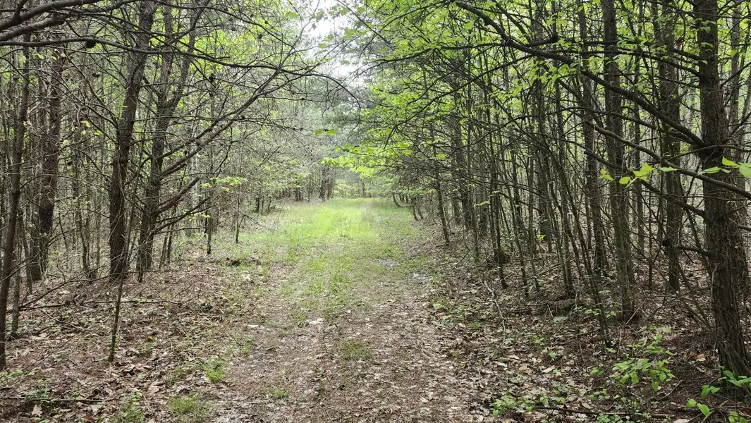 0 Old Holy Water RD, Tracy City, TN 37387