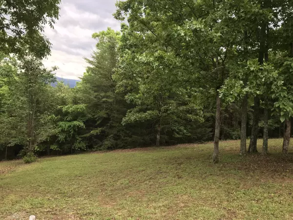 Dunlap, TN 37327,O Skyhigh Dr