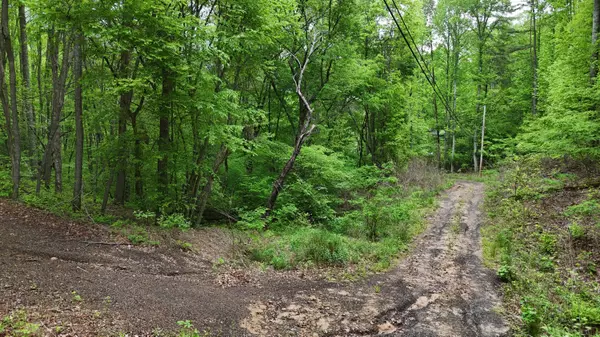 Turtletown, TN 37391,115 Calvender RD