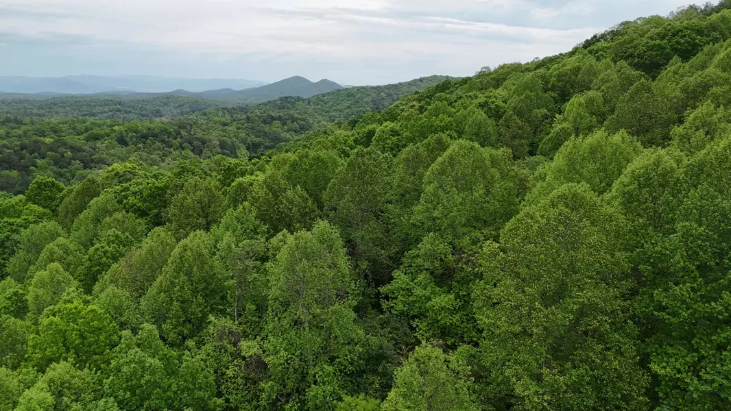115 Calvender RD, Turtletown, TN 37391