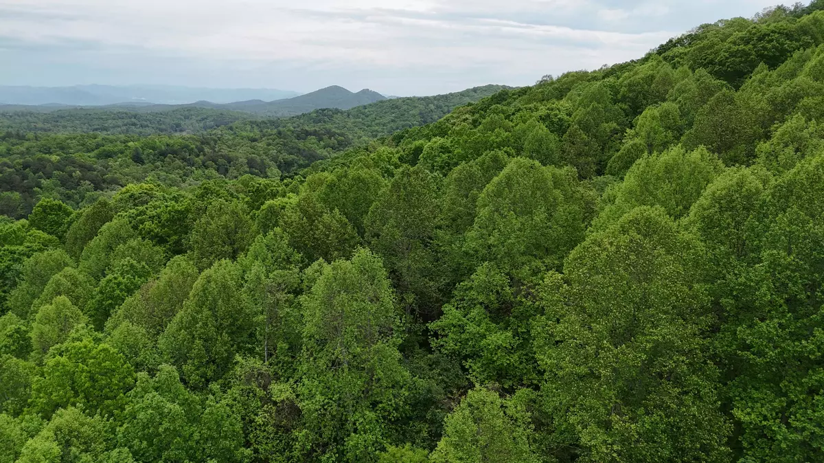 Turtletown, TN 37391,115 Calvender RD