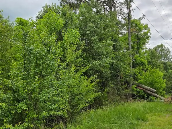 Riceville, TN 37370,00 County RD