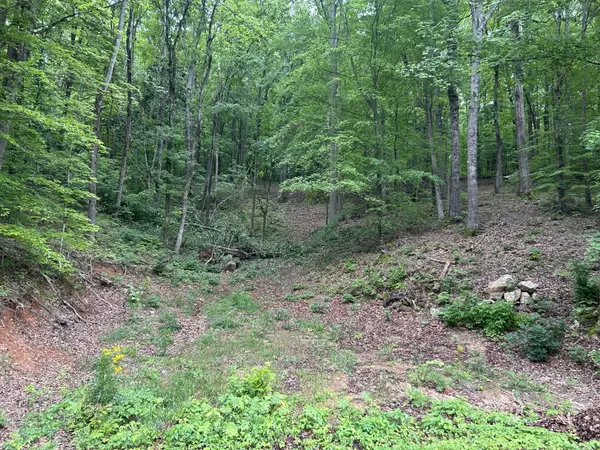 0 Candies Creek Ridge RD, Cleveland, TN 37312