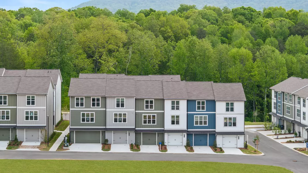 204 Asbury Oak LN, Chattanooga, TN 37419