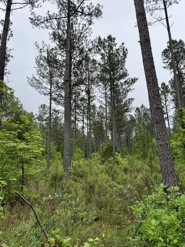 Dunlap, TN 37327,000 Sullivan RD