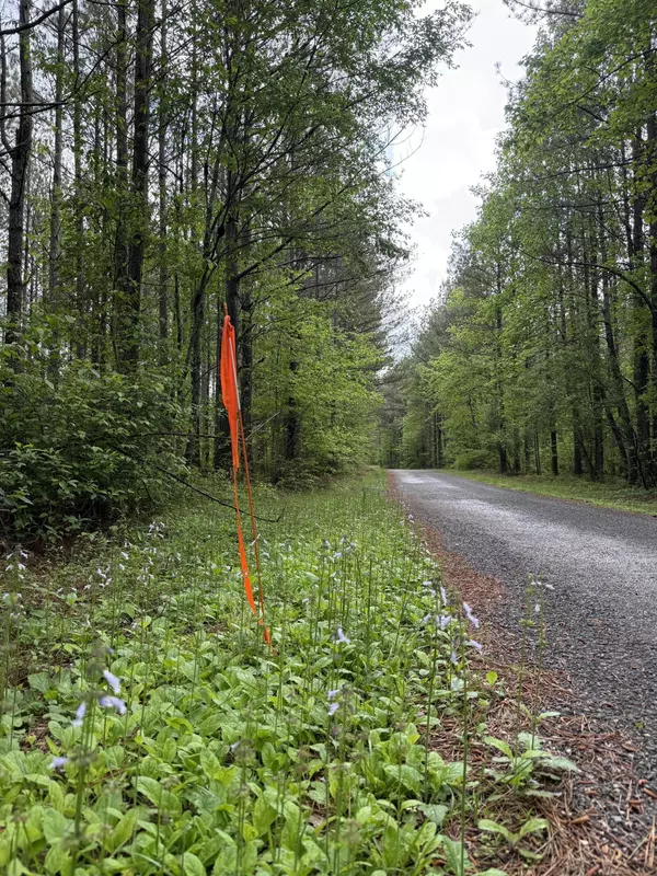 Dunlap, TN 37327,000 Sullivan RD