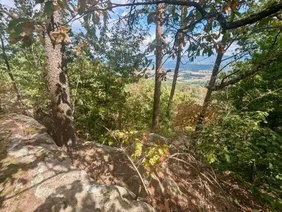 Dunlap, TN 37327,01 Windridge RD