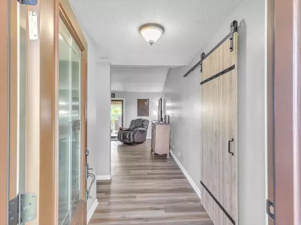 Cohutta, GA 30710,123 Paddle Wheel CT