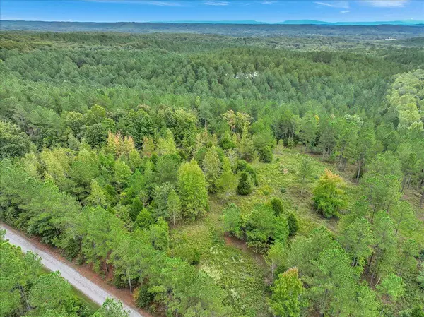 Tract 17 K Armstrong Ferry RD, Decatur, TN 37322