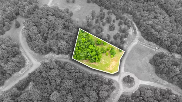 Spring City, TN 37381,415 Rivermyst DR