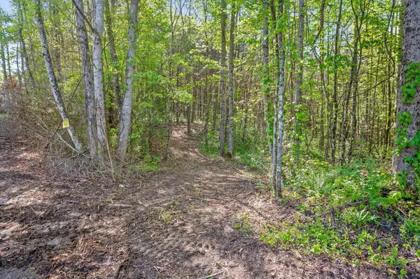 Palmer, TN 37365,0 Daus Mountain RD