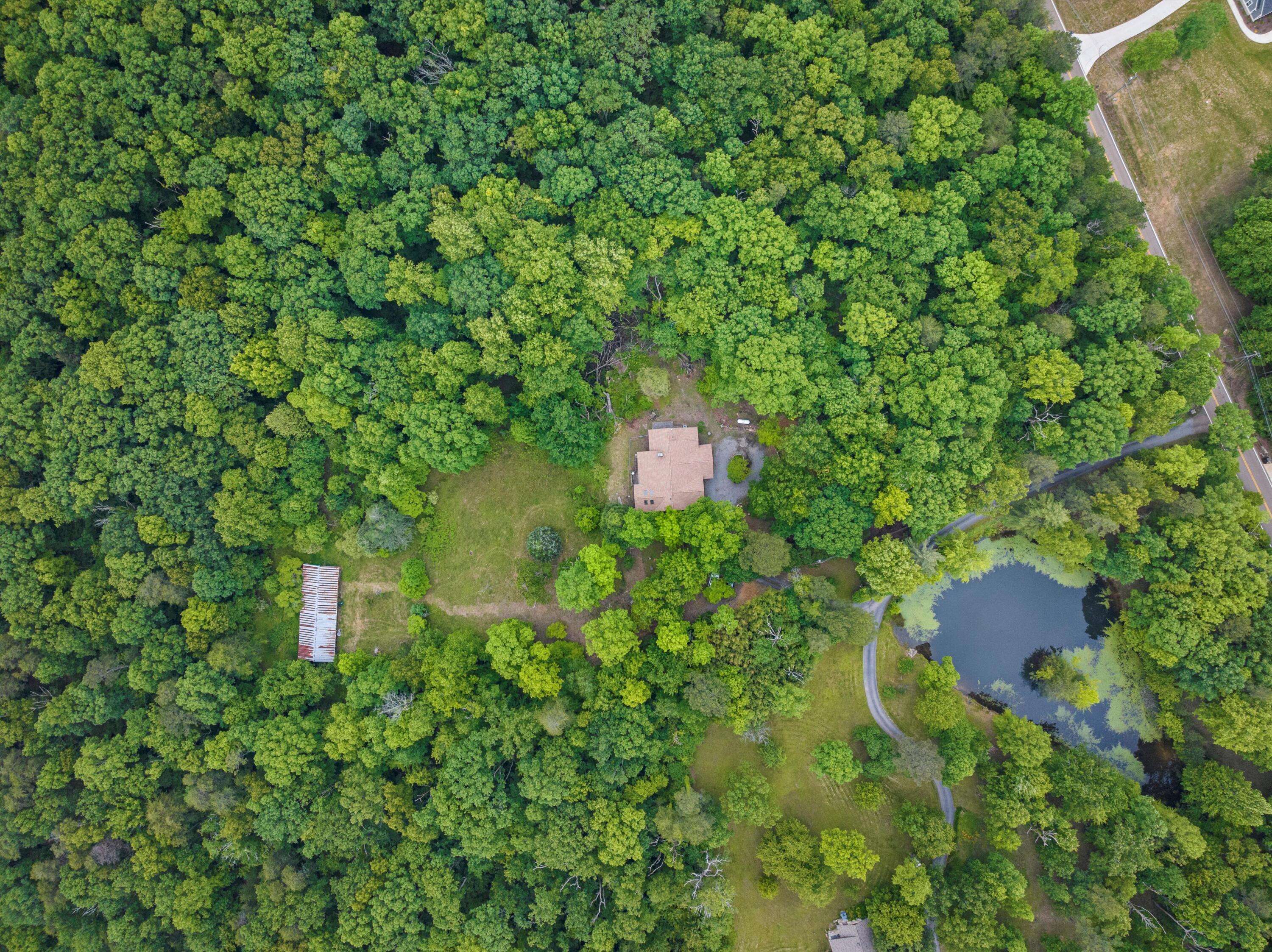 Soddy Daisy, TN 37379,695 Soddy Bluff VW