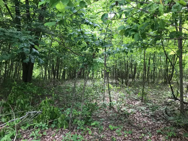Dunlap, TN 37327,Lot 512 Wilderness Way
