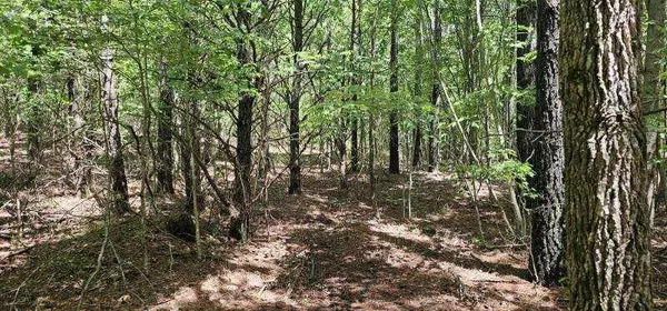 Spencer, TN 38585,0 Sunset Rd