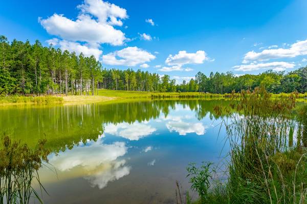 0 Waterwheel WAY, Jasper, TN 37347