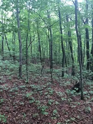 Signal Mountain, TN 37377,2818 Wilson AVE
