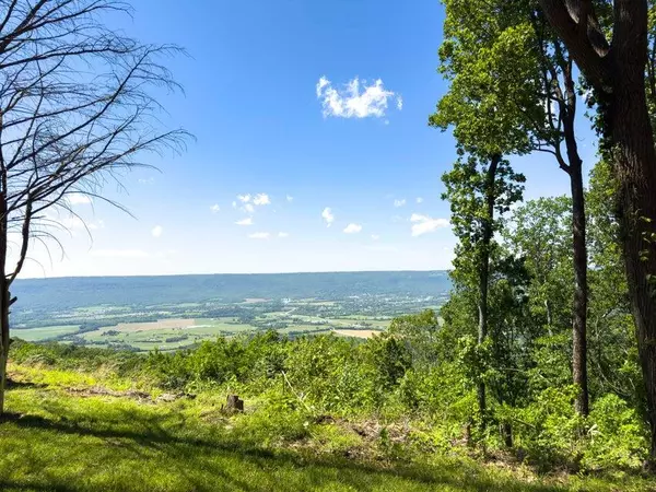 Pikeville, TN 37367,1455 Rigsby Gap RD
