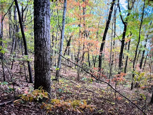 245 Hill RD, Crossville, TN 38572