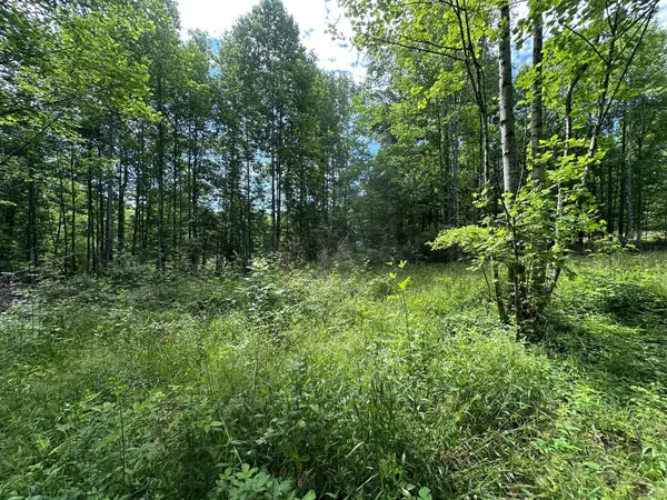 Sequatchie, TN 37374,5201 Highway 150