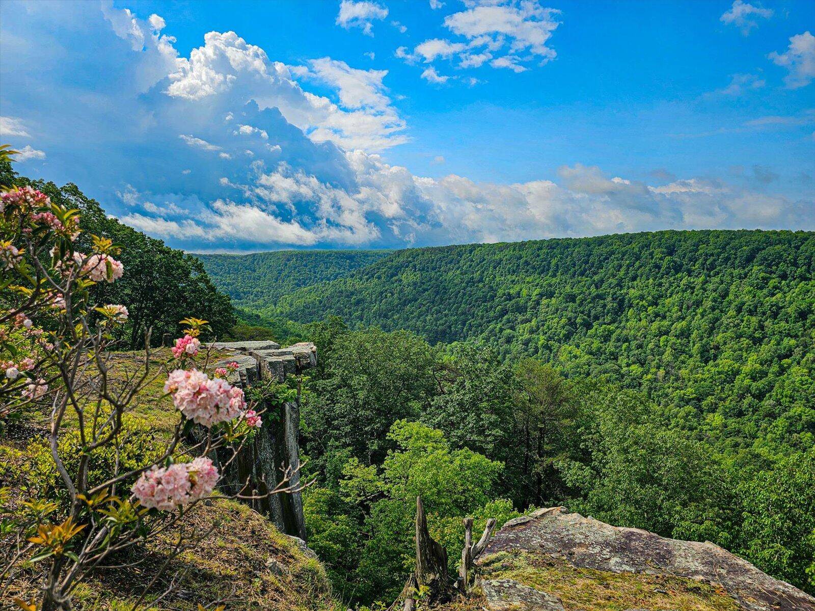 110 Falls LN, Spencer, TN 38585