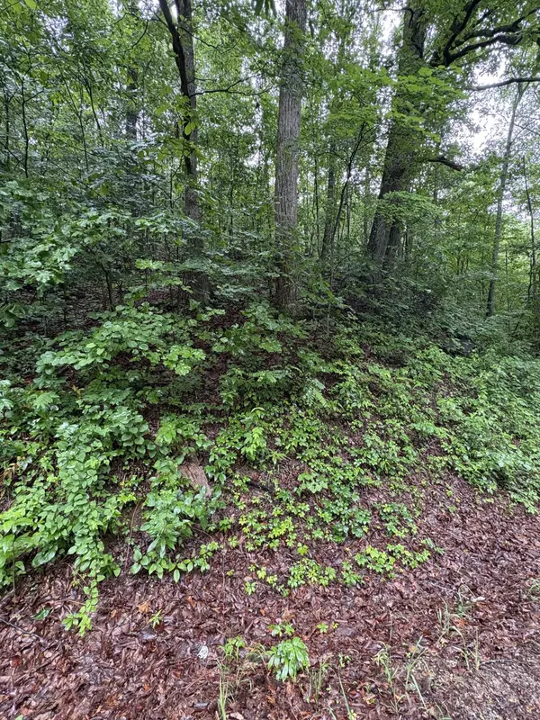 Whitwell, TN 37397,0 Highway 27