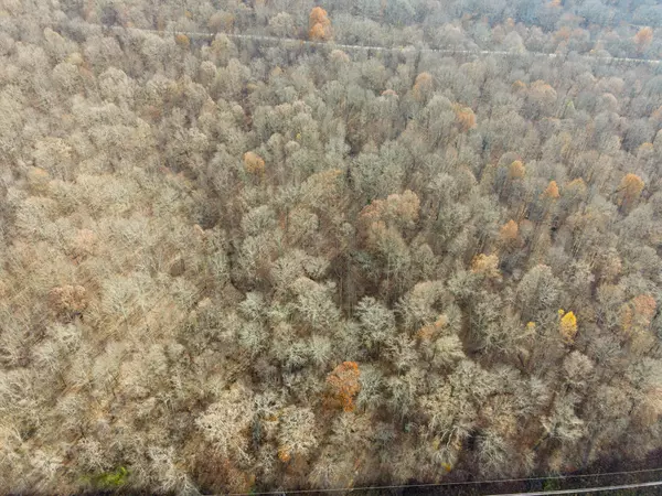 Whitwell, TN 37397,0 Highway 27