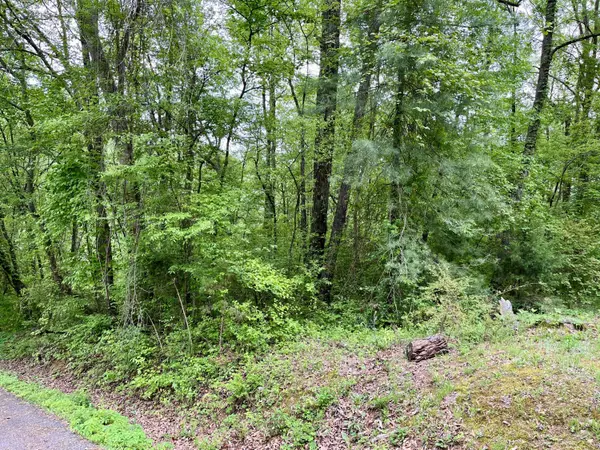 Whitwell, TN 37397,Lot 25 Omega DR