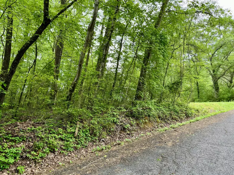 Lot 25 Omega DR, Whitwell, TN 37397