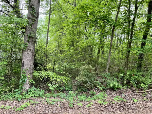 Whitwell, TN 37397,Lot 25 Omega DR