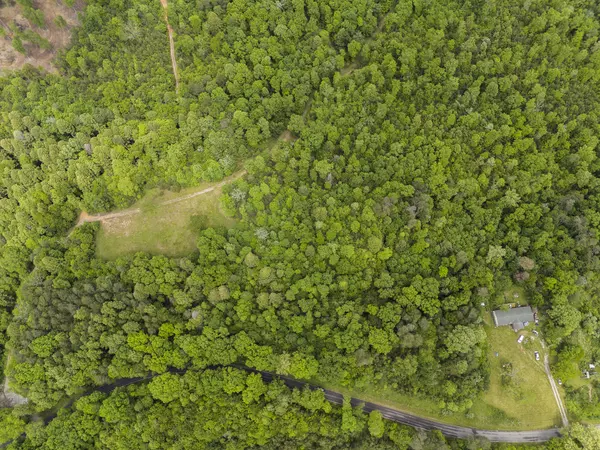 Gruetli Laager, TN 37339,2361 Colony RD