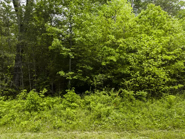 Gruetli Laager, TN 37339,2361 Colony RD