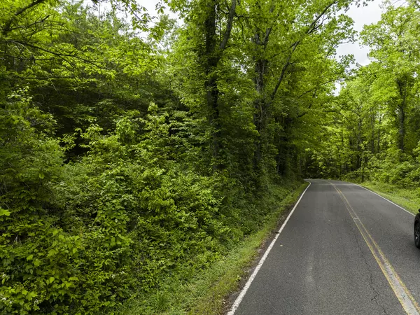 Gruetli Laager, TN 37339,2361 Colony RD