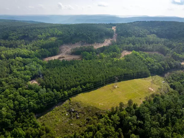 Guild, TN 37340,0 Split Rail WAY
