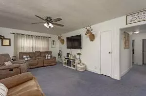 Spring City, TN 37381,229 Pierce ST