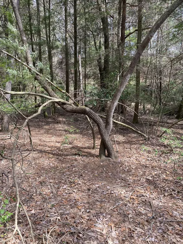 Spencer, TN 38585,0 Lone Wolf TRL