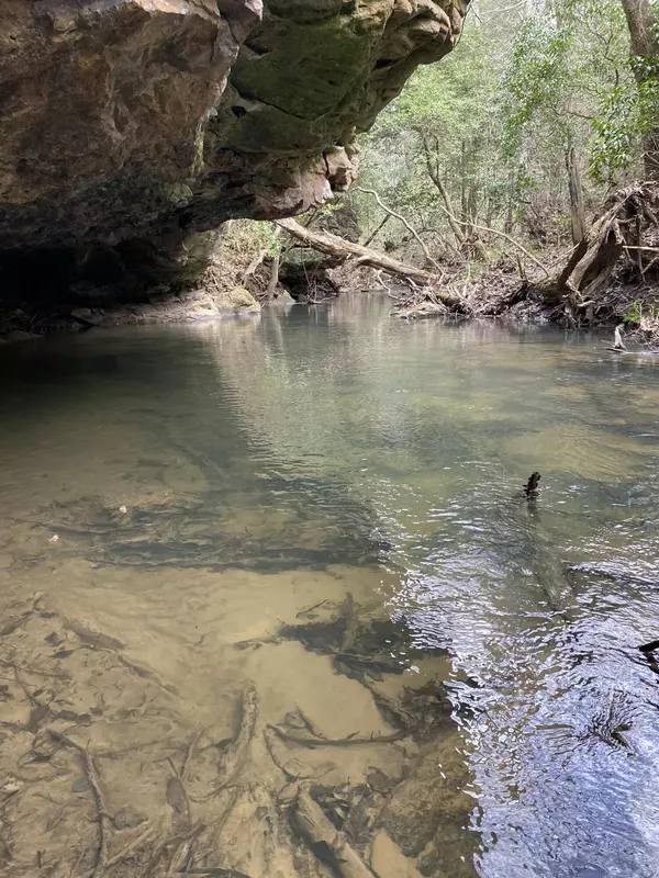 Spencer, TN 38585,0 Lone Wolf TRL