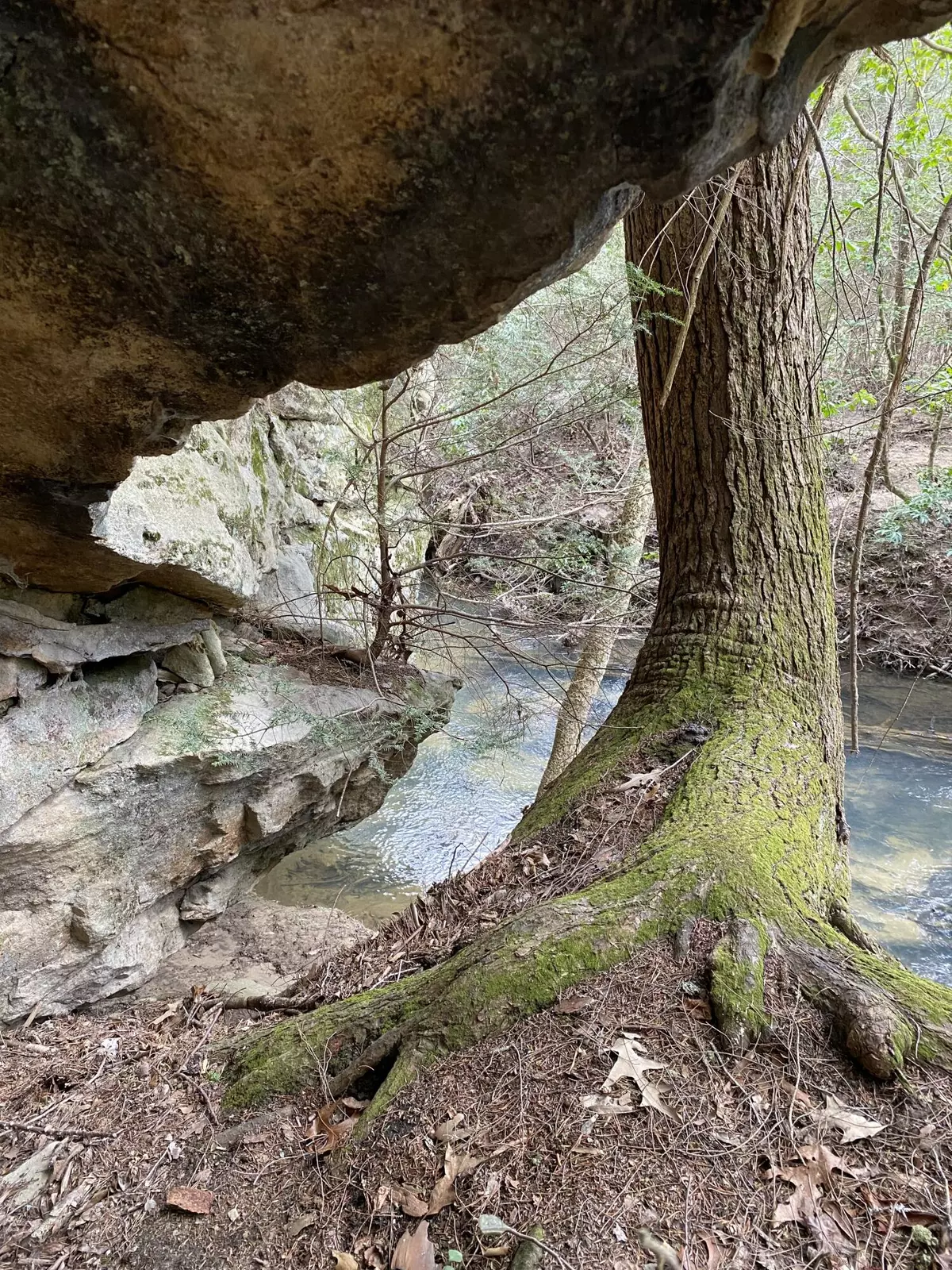 Spencer, TN 38585,0 Lone Wolf TRL