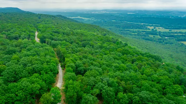 Mentone, AL 35984,237 County Road 844