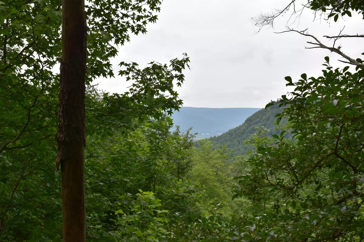 Jasper, TN 37347,0 Pine Knot PASS