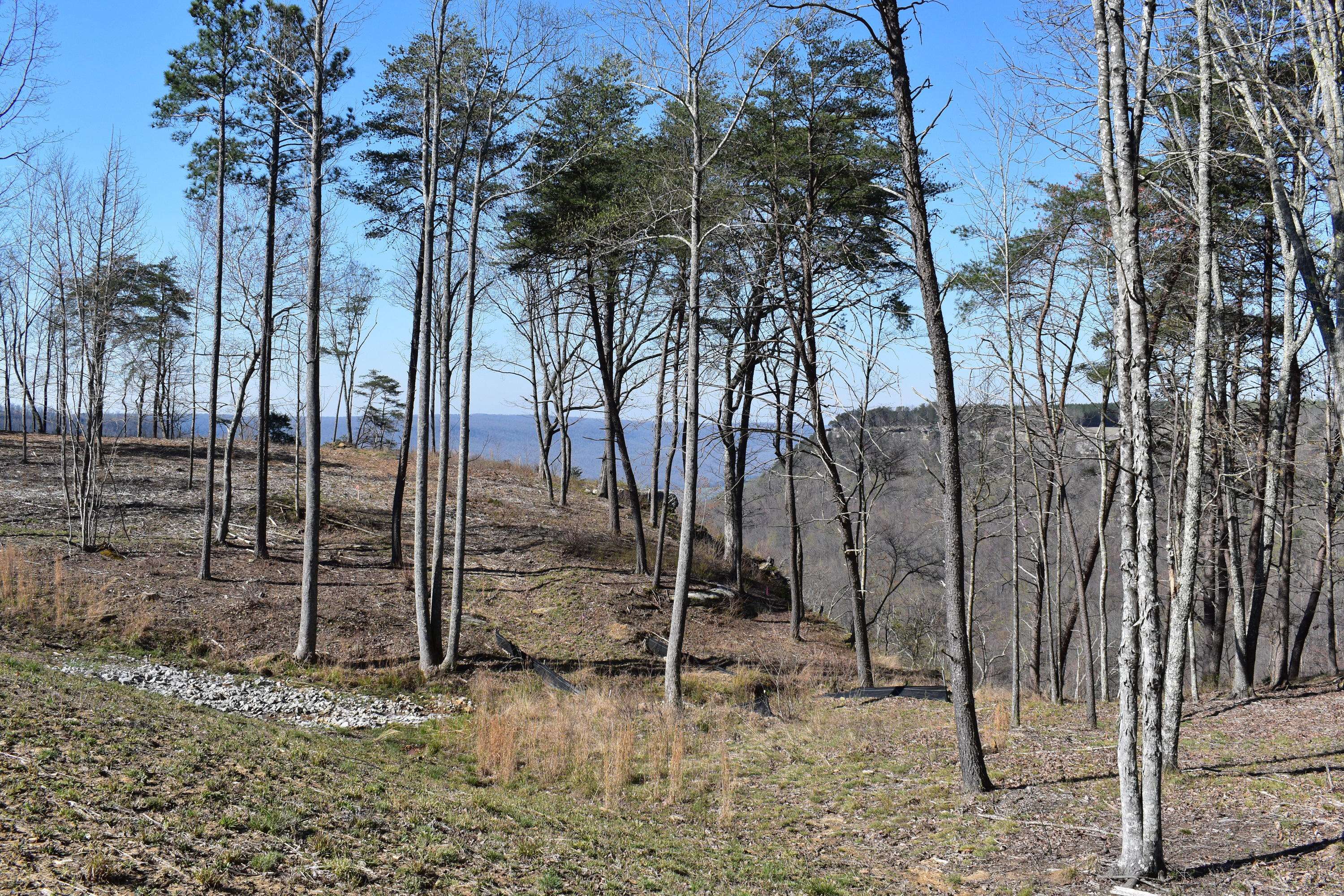 Jasper, TN 37347,0 Pine Knot PASS