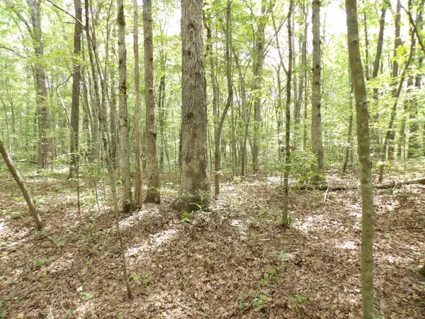 Crossville, TN 38572,000 Maple LN