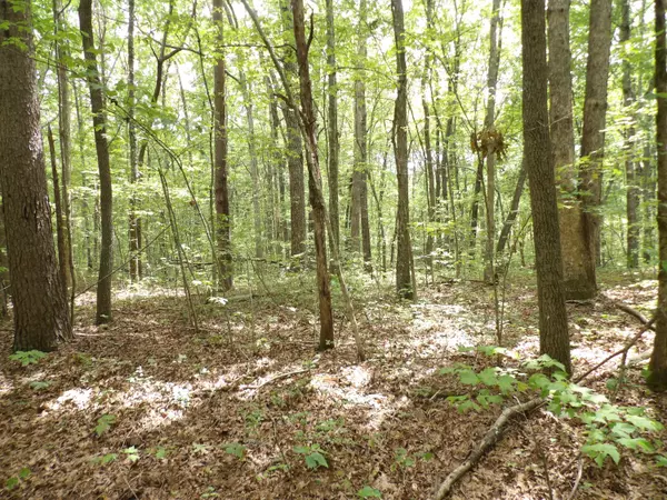 Crossville, TN 38572,000 Maple LN