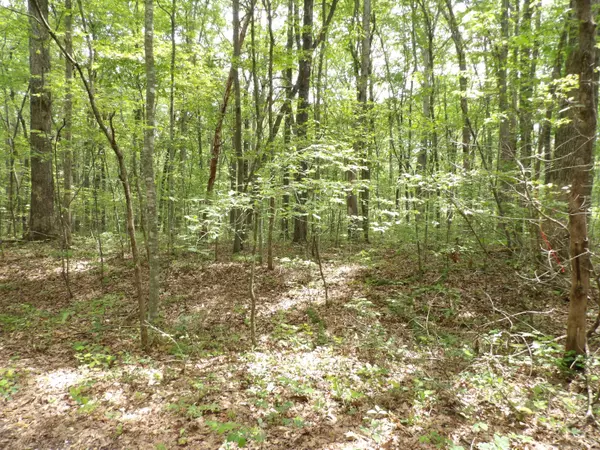 Crossville, TN 38572,000 Maple LN