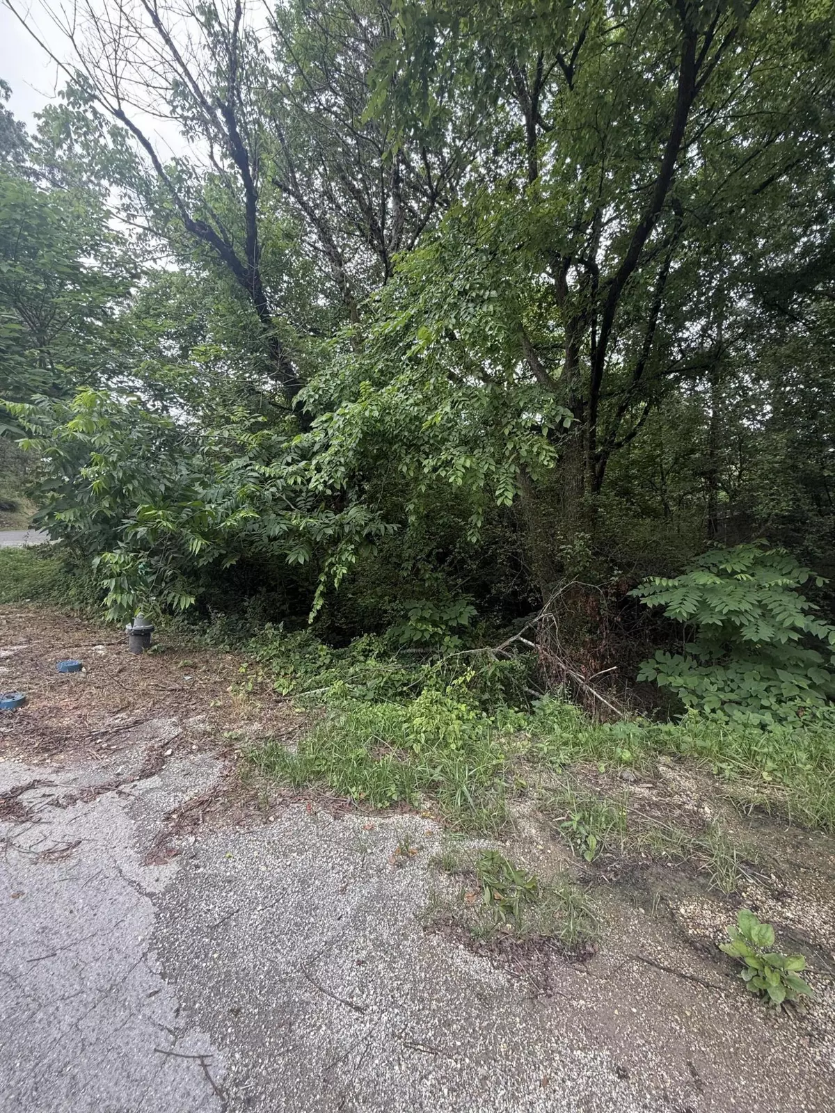 Rossville, GA 30741,0 Robin CIR