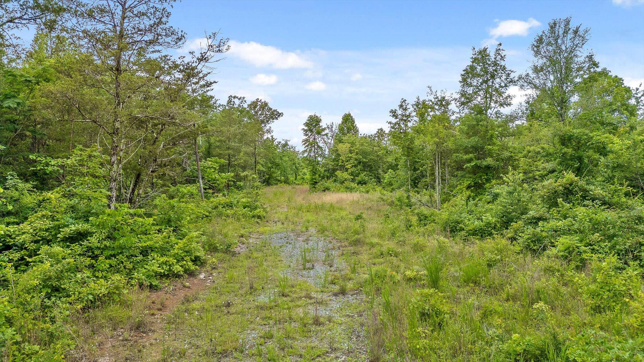0 State Highway 58, Decatur, TN 37336