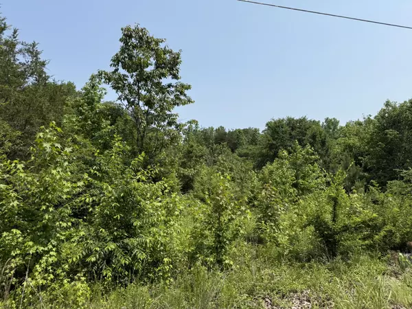Bryant, AL 35958,295 Co Rd 296