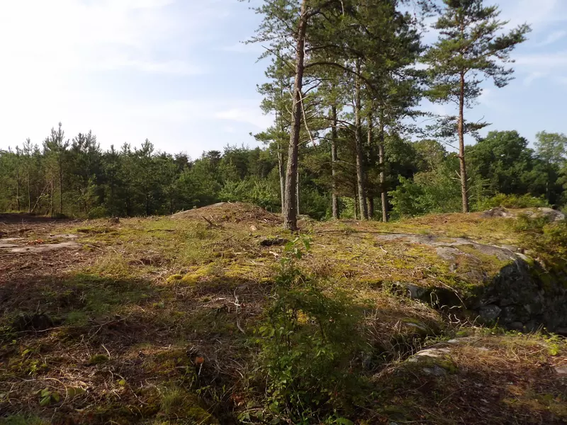 01 Summer City RD, Evensville, TN 37332